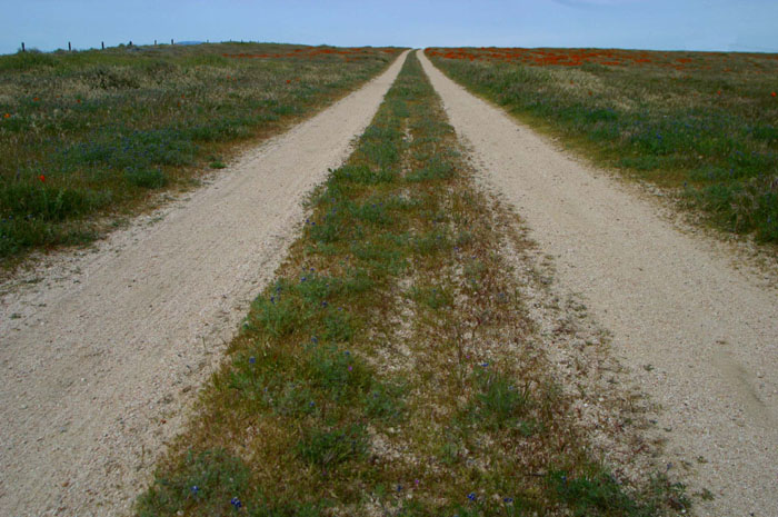 mar262005054