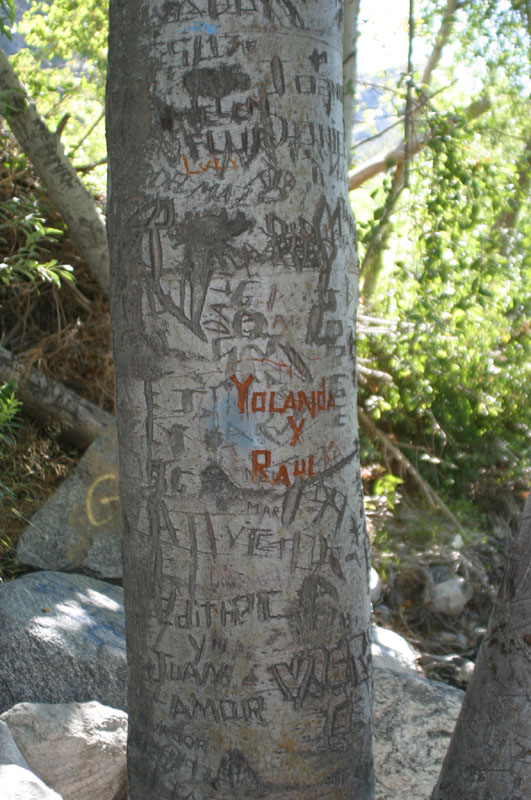 2005aug28048