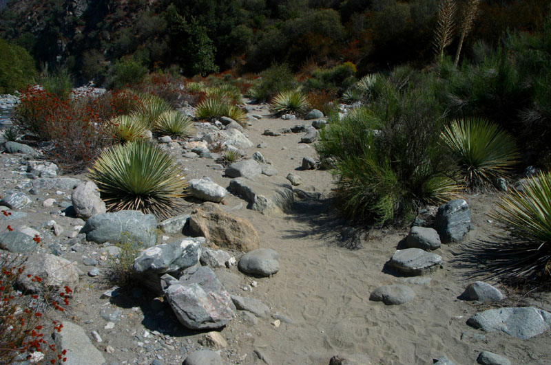 2005sept10009