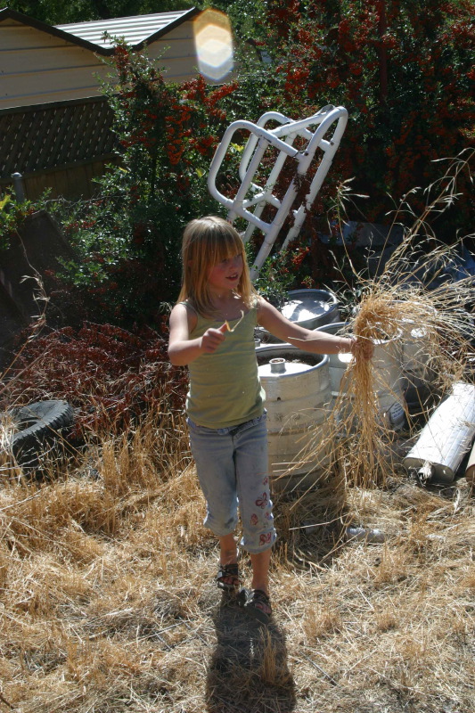 2007sept30085.jpg